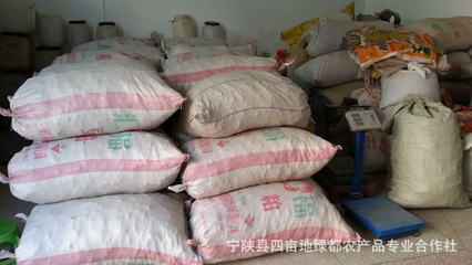 秦嶺寧陜豬苓 來自深山的天然饋贈，中藥材批發(fā)首選