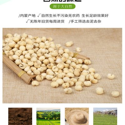 地道藥材 || 松貝母·浙貝母·川貝母 500g產(chǎn)地直供，農(nóng)家種植的誠信之選