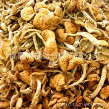 熱銷福建農(nóng)產(chǎn)品批發(fā) 古田食用菌與滑子菇的商機(jī)探索